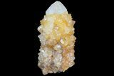 Sunshine Cactus Quartz Crystal - South Africa #80198-2